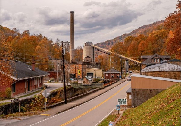 Lynch in Fall